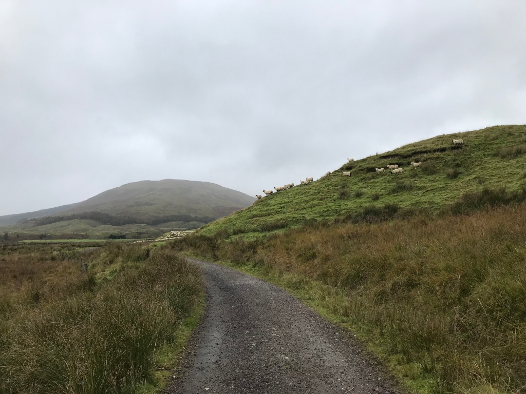 The West Highland (Half)Way: Crianlarich to Tyndrum (Day 1)